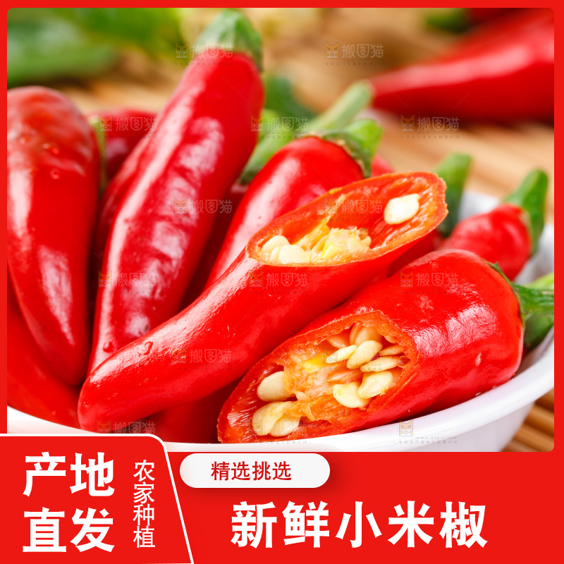 竹底上的朝天椒