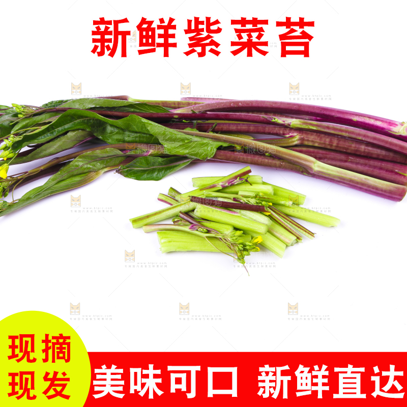 白底上放着紫菜苔