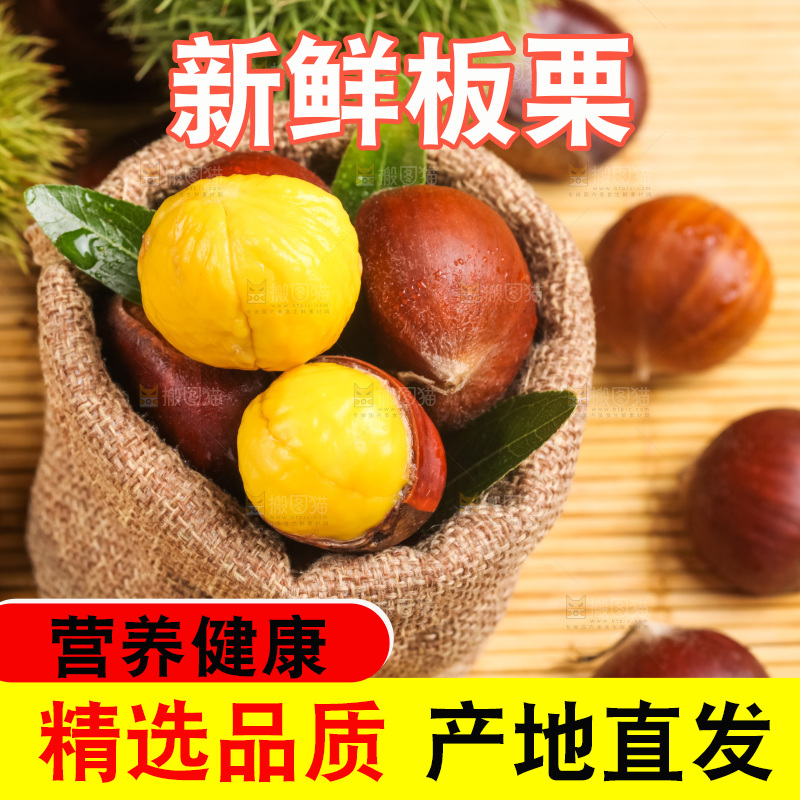 深底上的迁西板栗