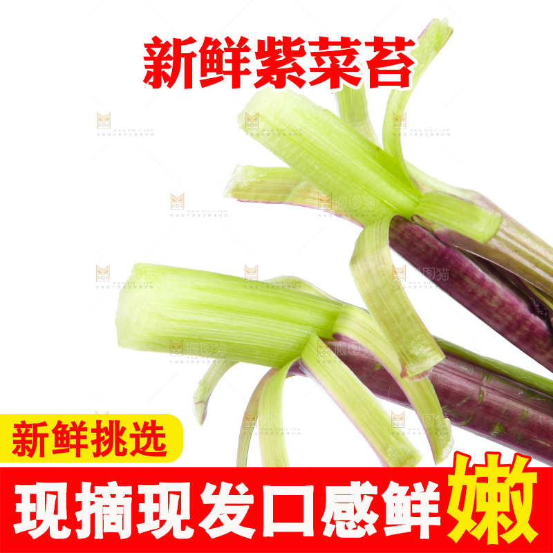白底上放着紫菜苔