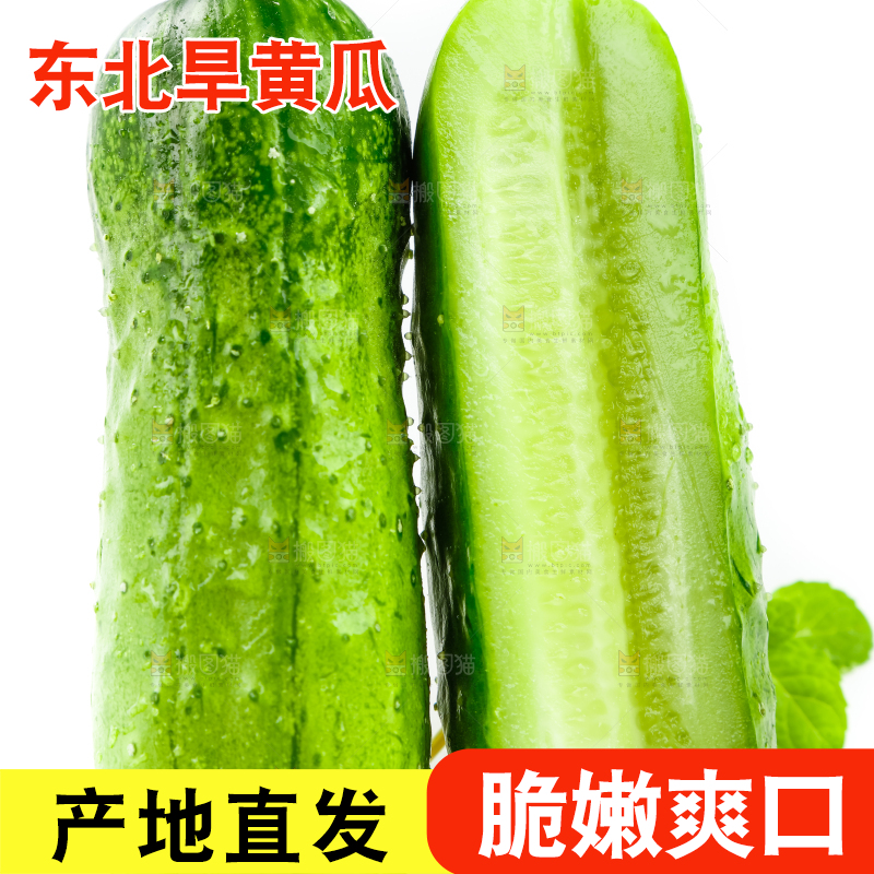 白底上放着小黄瓜