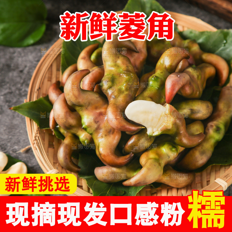 篮子里装着菱角