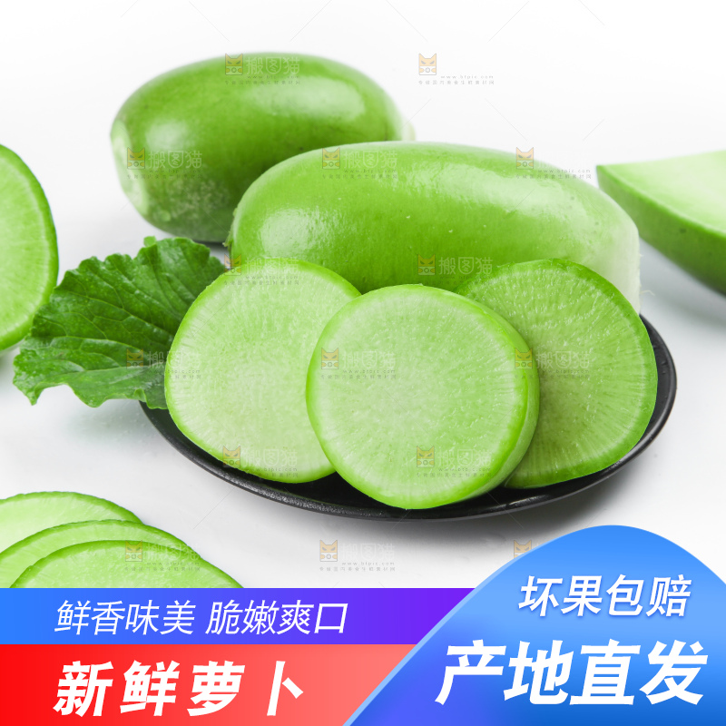 白底上的青萝卜