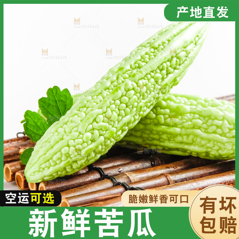 竹底上的长苦瓜