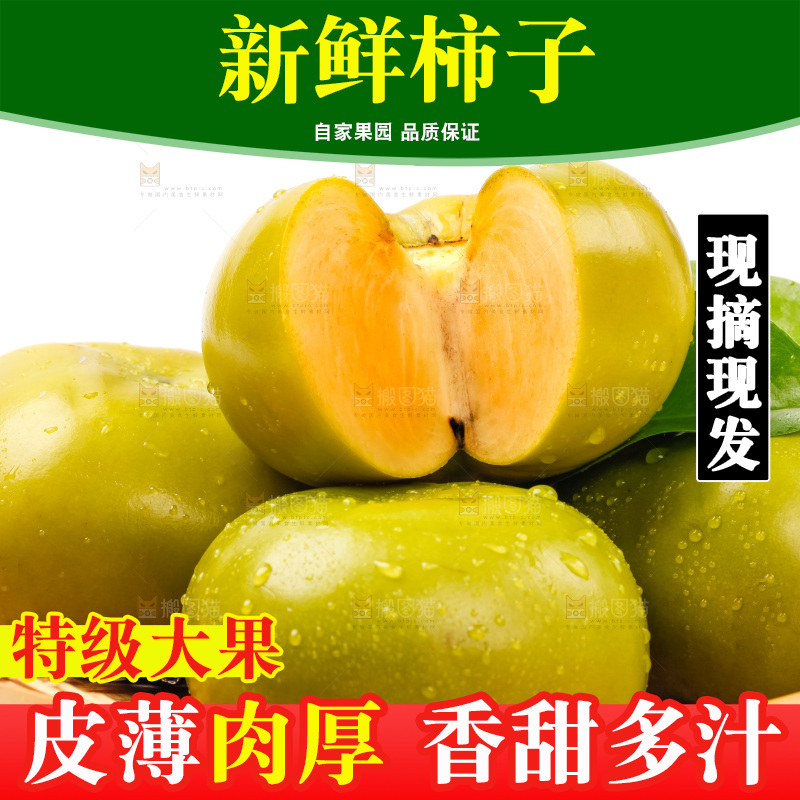 篮子里装着青柿子