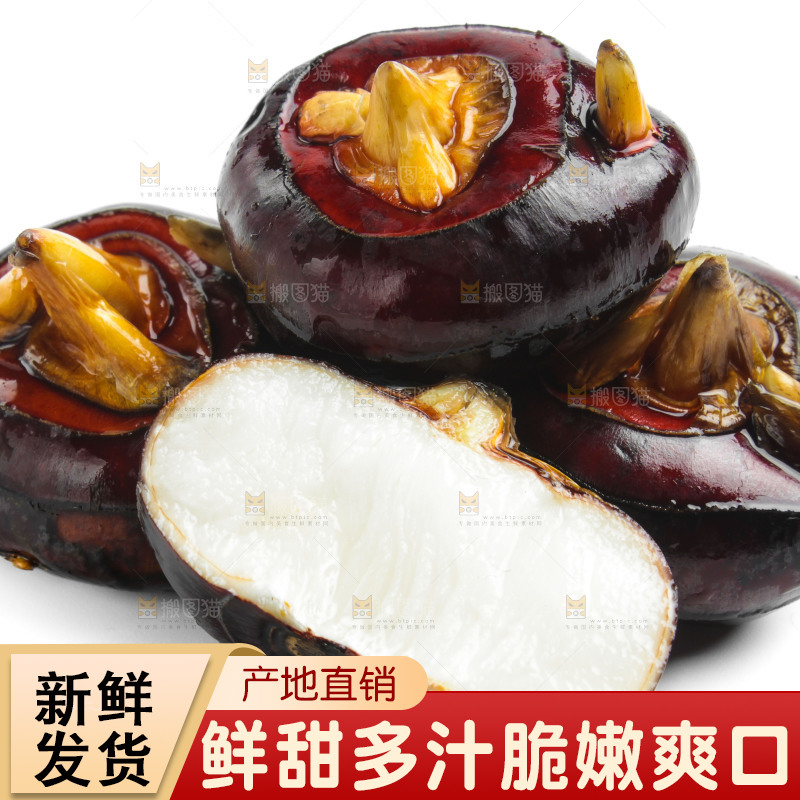 白底上摆放着广西荔浦马蹄