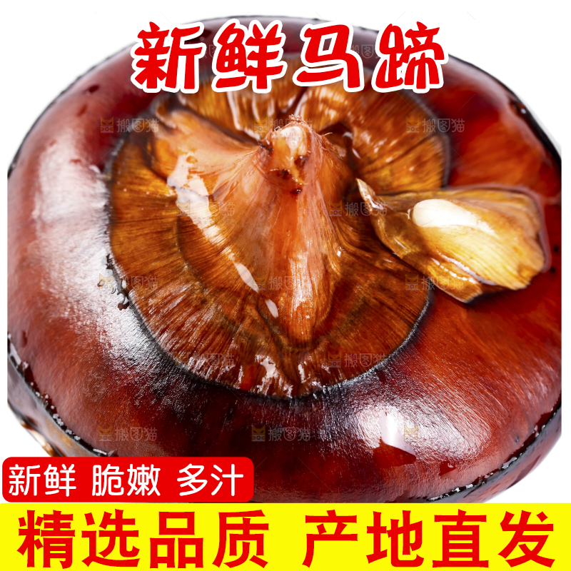 白底上的菩荠