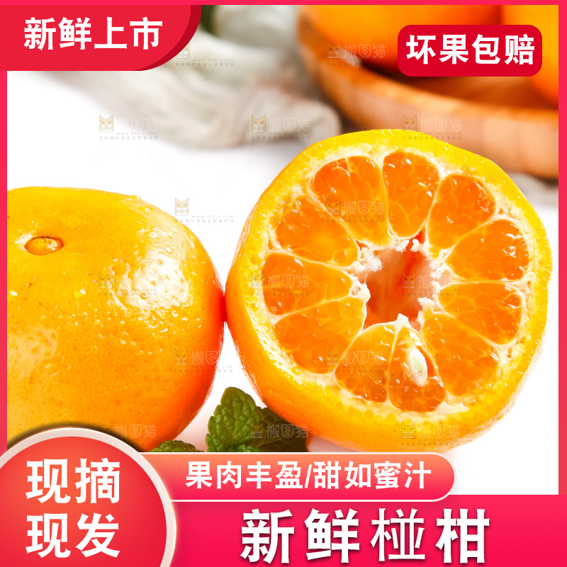 白底上的永春芦柑