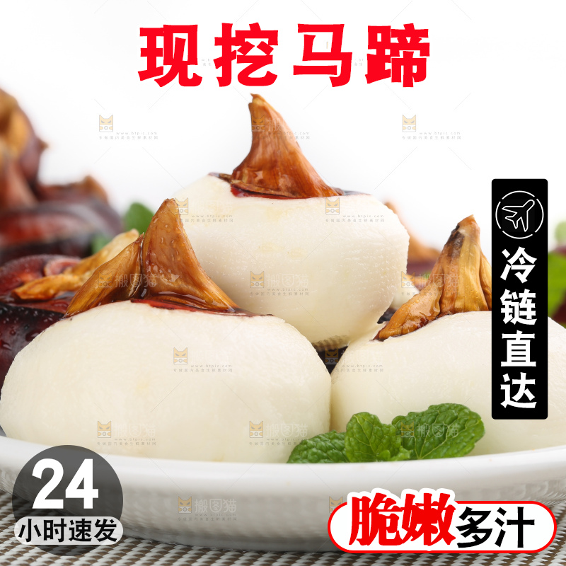 浅底上的马蹄果