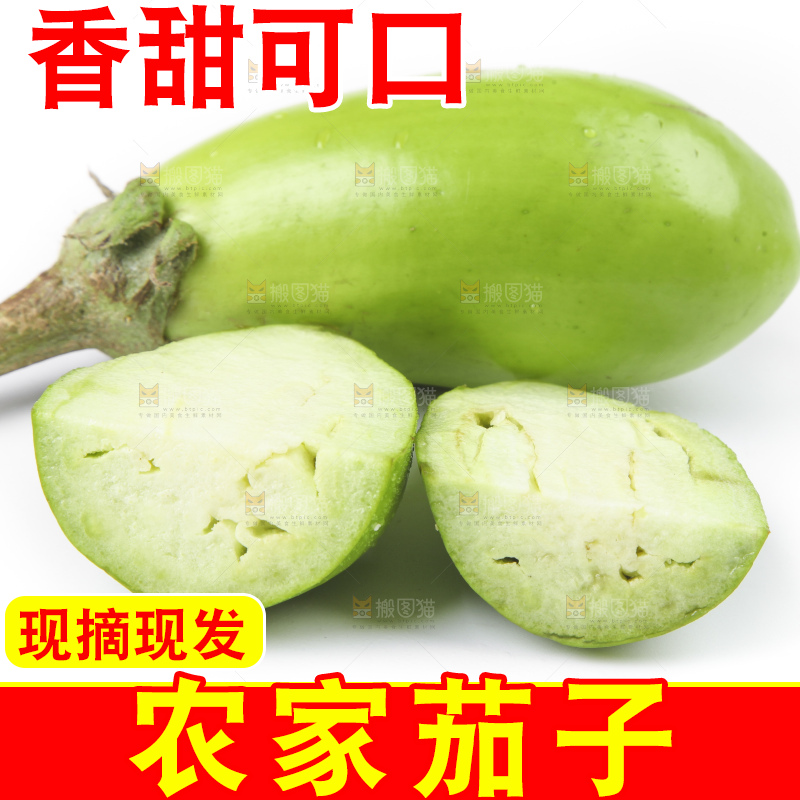 白底上放着青皮茄子