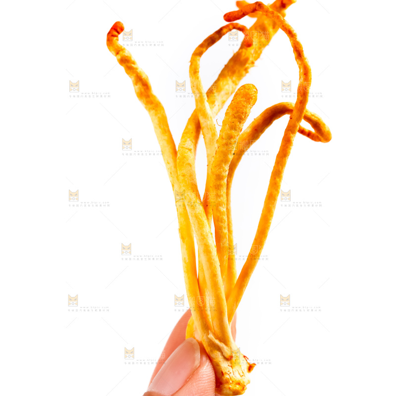 白底上放着虫草花