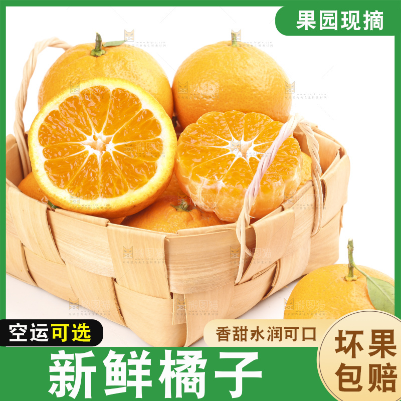 篮子里装着丑橘