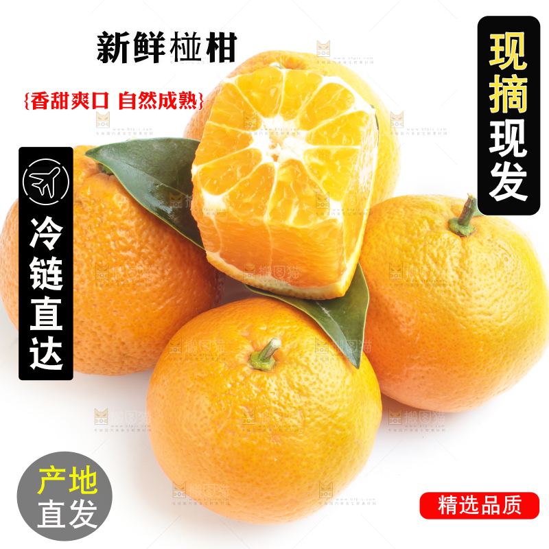 白底上放着四川椪柑