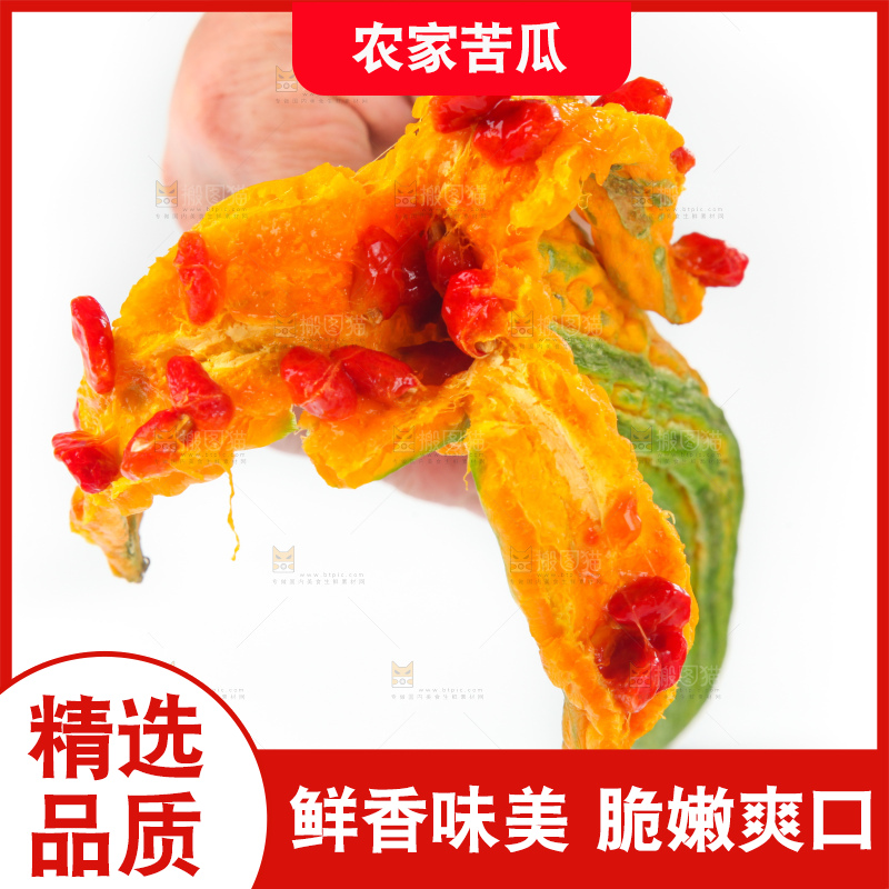 白底上的老苦瓜