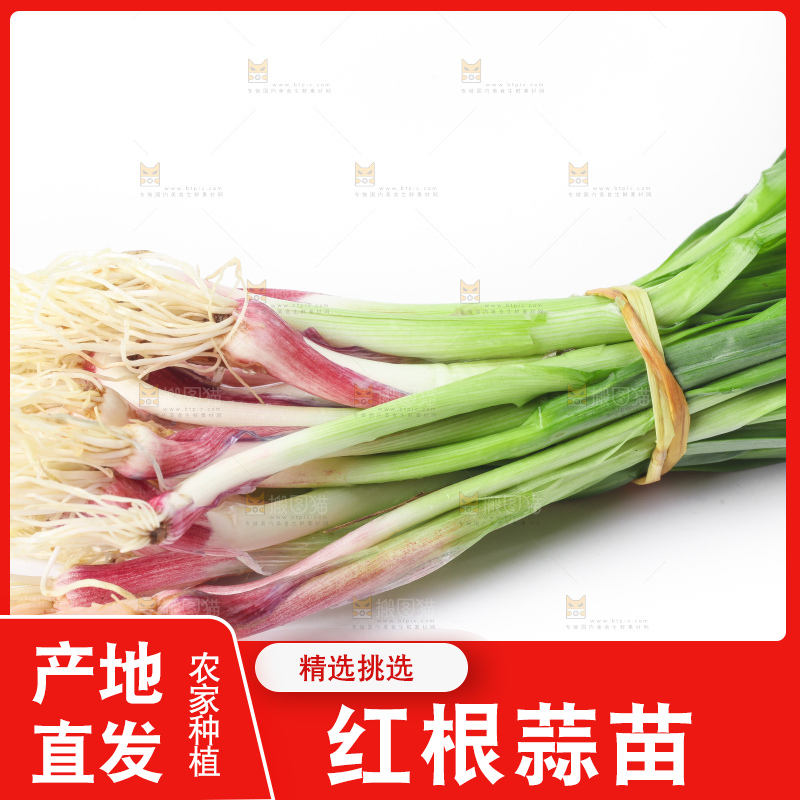 白底上放着蒜苗
