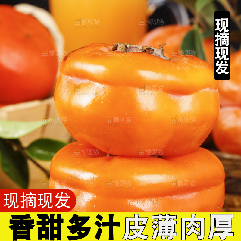 木板上摆放着易县磨盘柿子