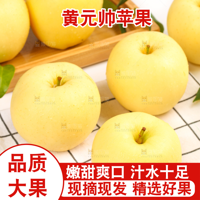白格子底上的烟台黄金帅