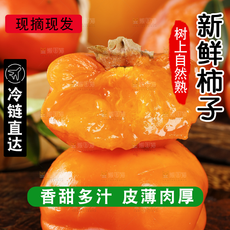 木板上摆放着易县磨盘柿子
