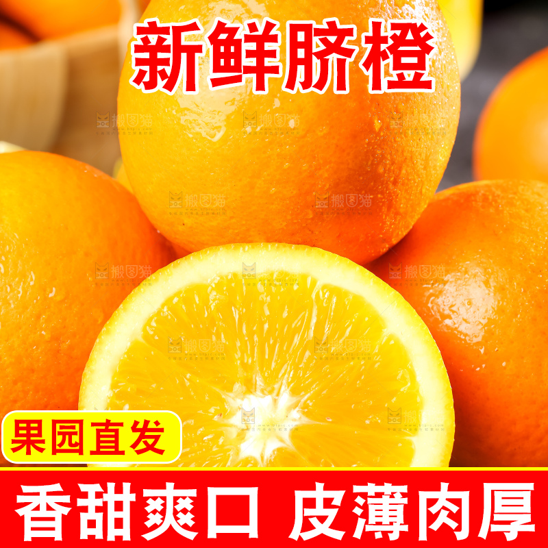 黄板子上的脐橙