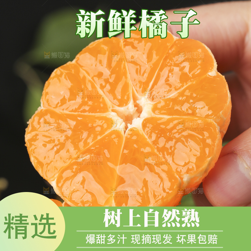 手里拿着新鲜椪柑