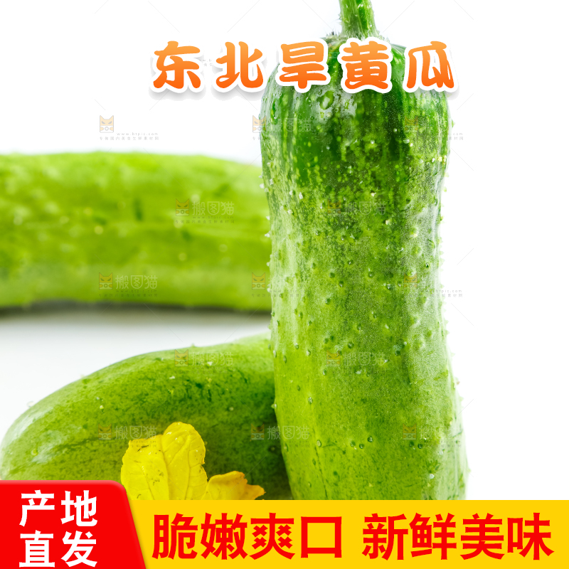 白底上的小黄瓜