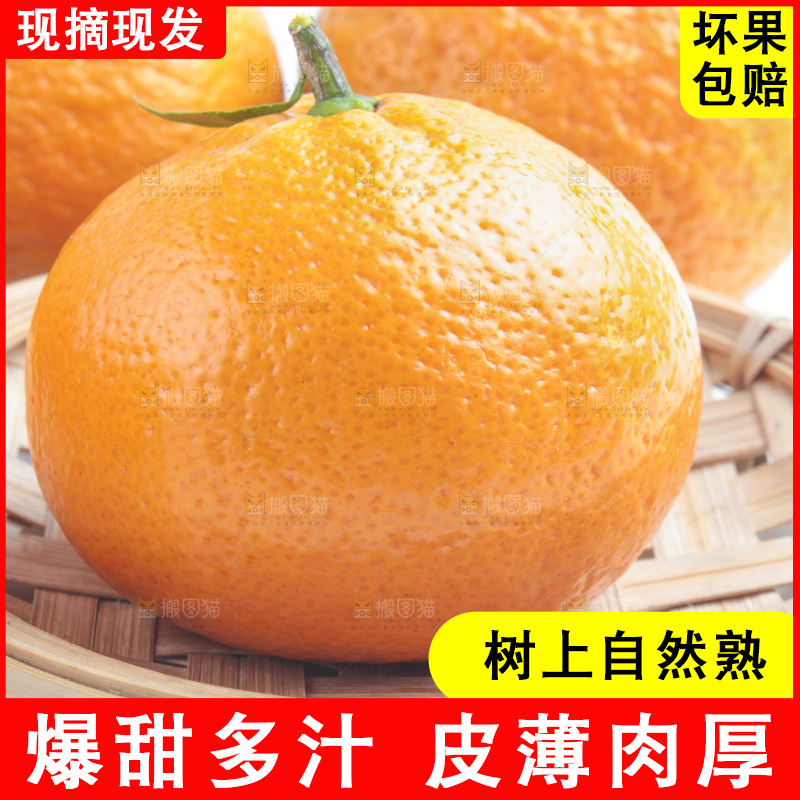 白底上放着四川椪柑