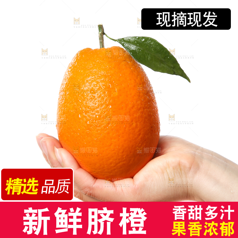 手里拿着赣南脐橙