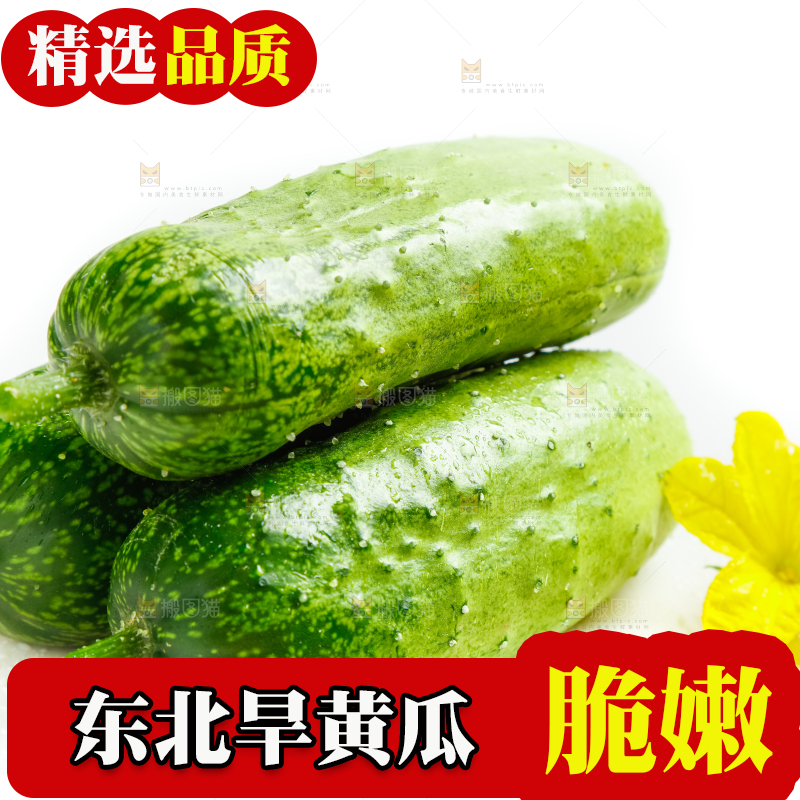白底上放着新鲜旱黄瓜
