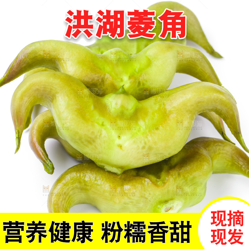浅底上的新鲜菱角