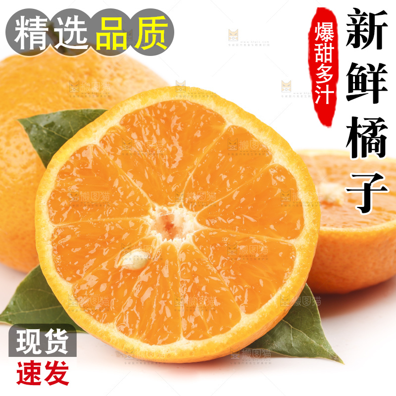 白底上的椪柑橘