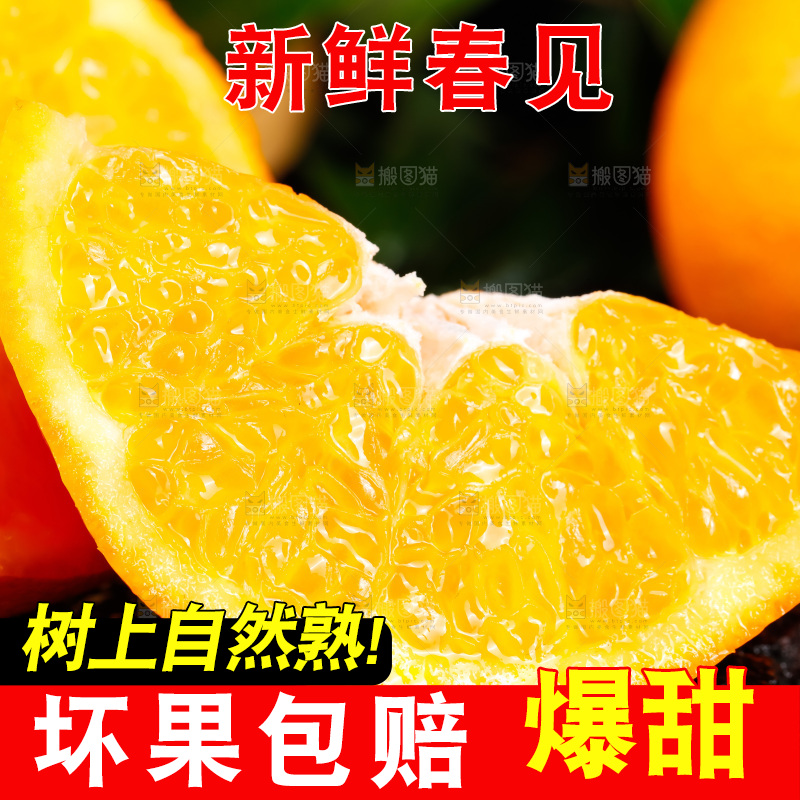 深底上的春见柑桔