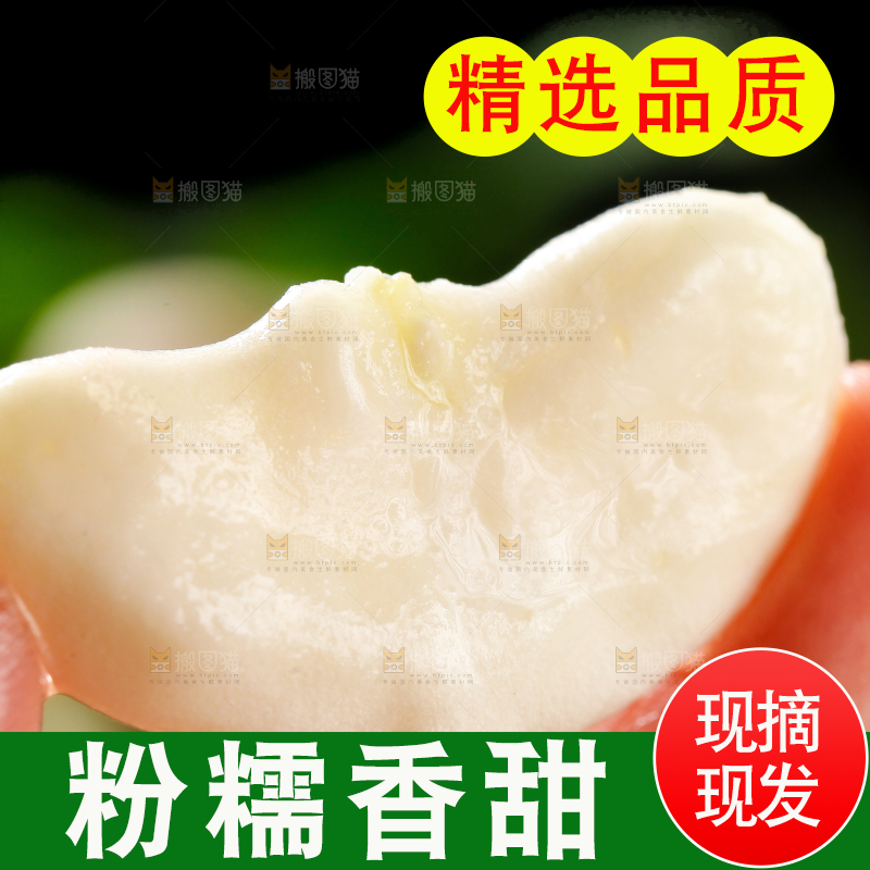 手里拿着新鲜菱角