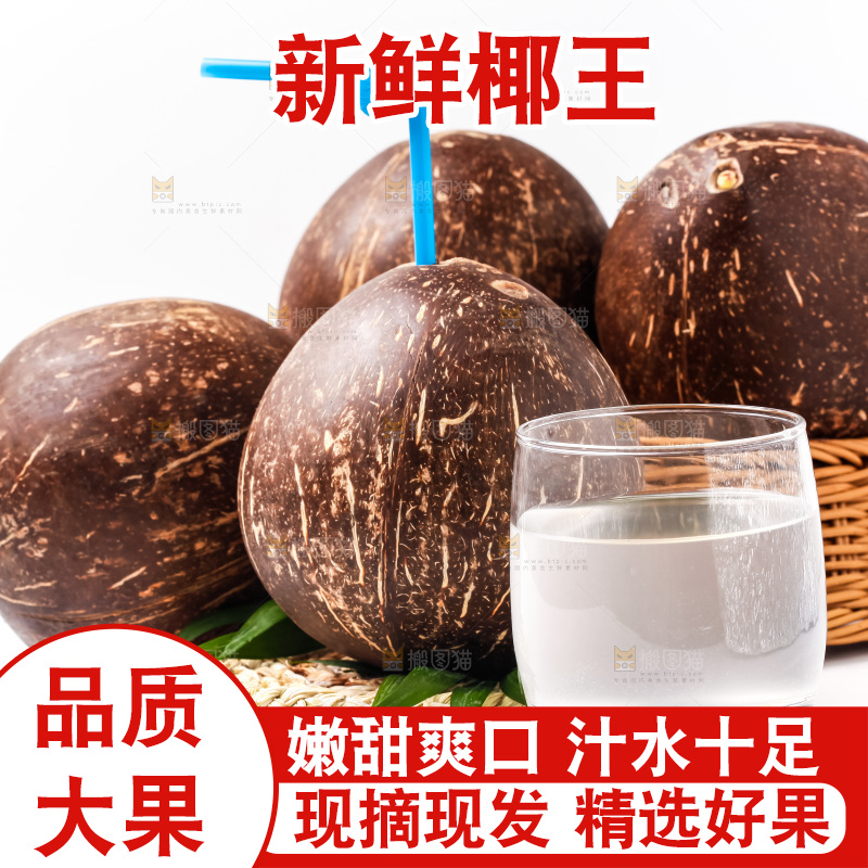 白底上摆放着老椰子