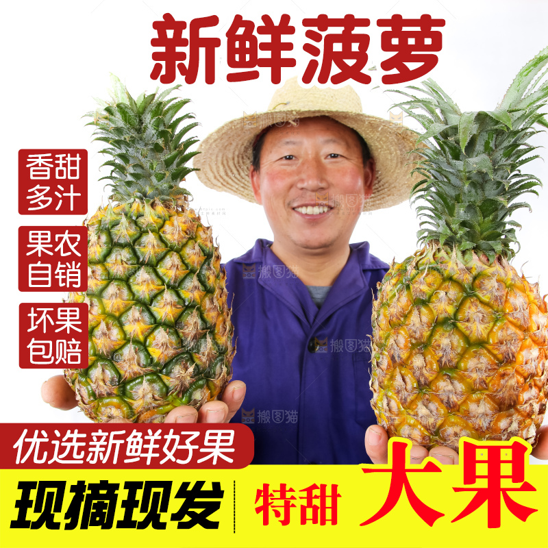 农民手里拿着香水菠萝