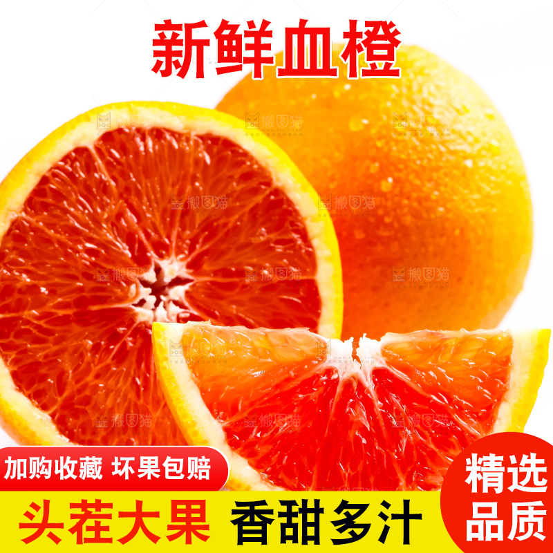 白底上的新鲜橙子