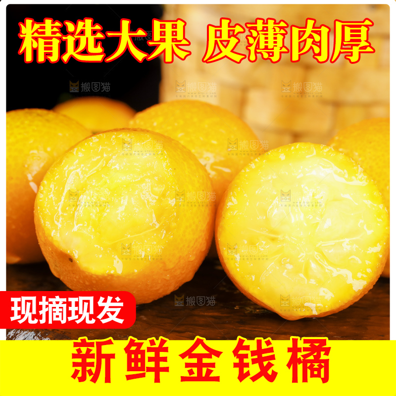 黑底上的小金桔