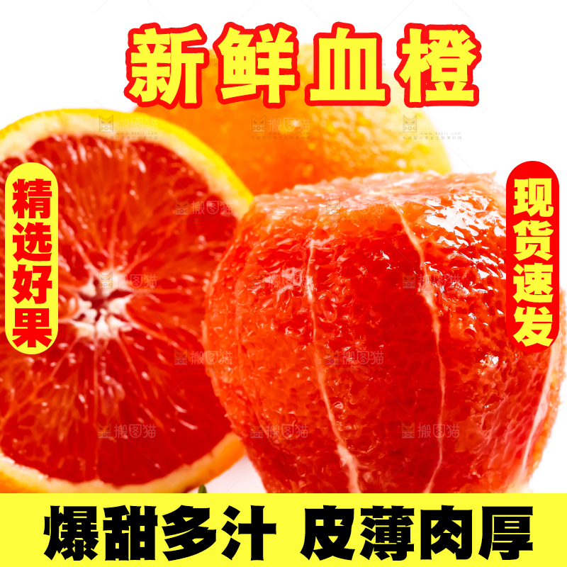 白底上的新鲜橙子