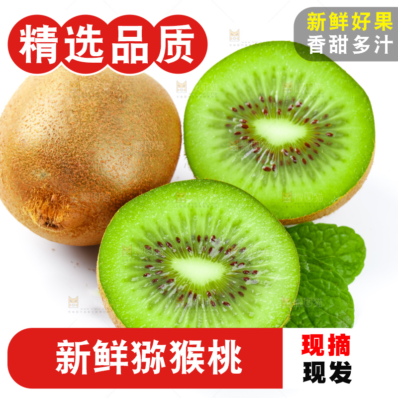 白底上的陕西猕猴桃