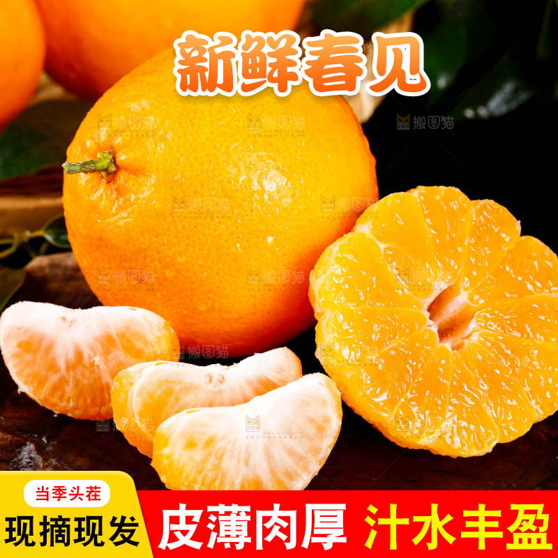 深底上的春见柑桔