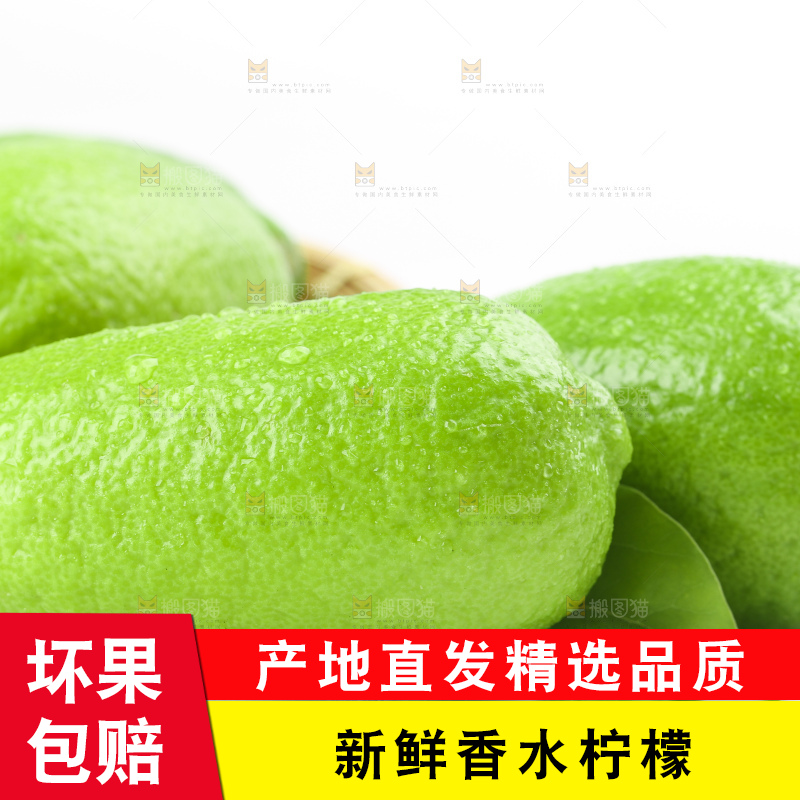 白底上一堆海南无籽香水柠檬