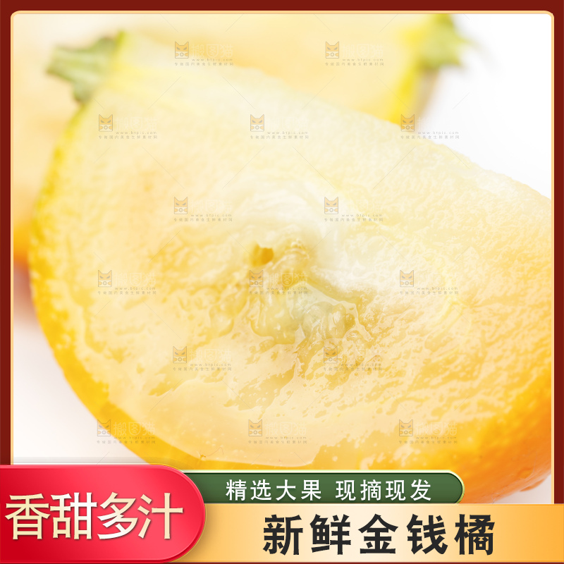 白底上的金桔