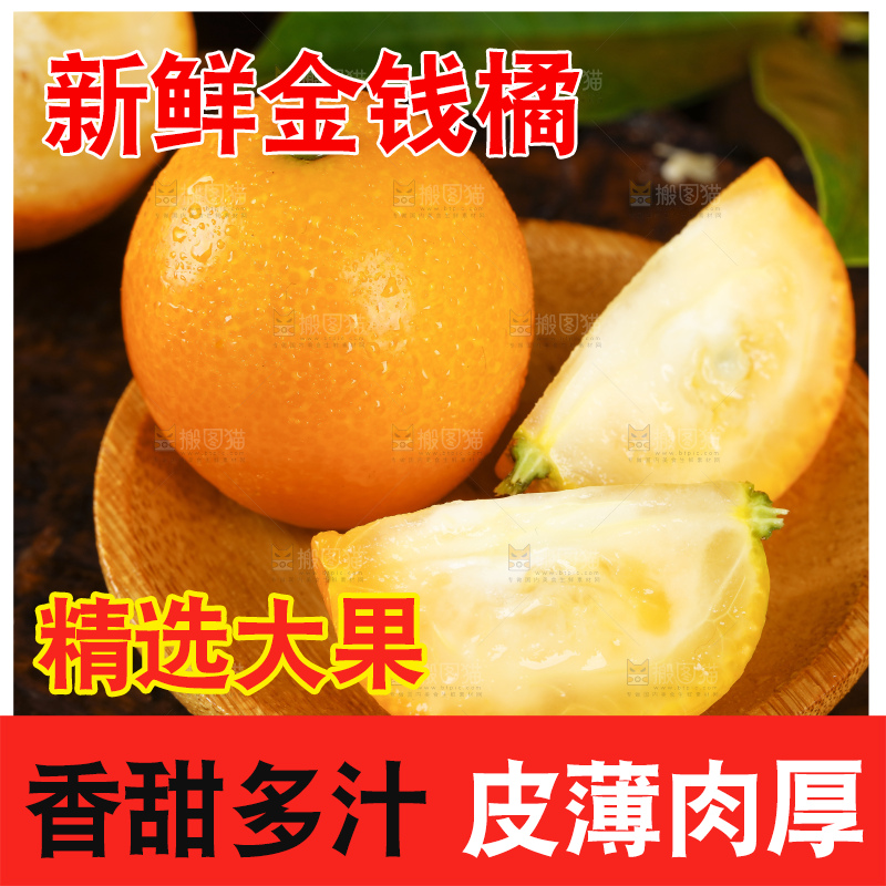 黑底上的小金桔