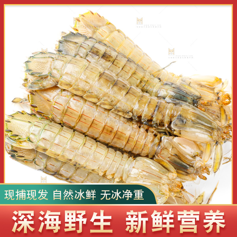 白底上的皮皮虾