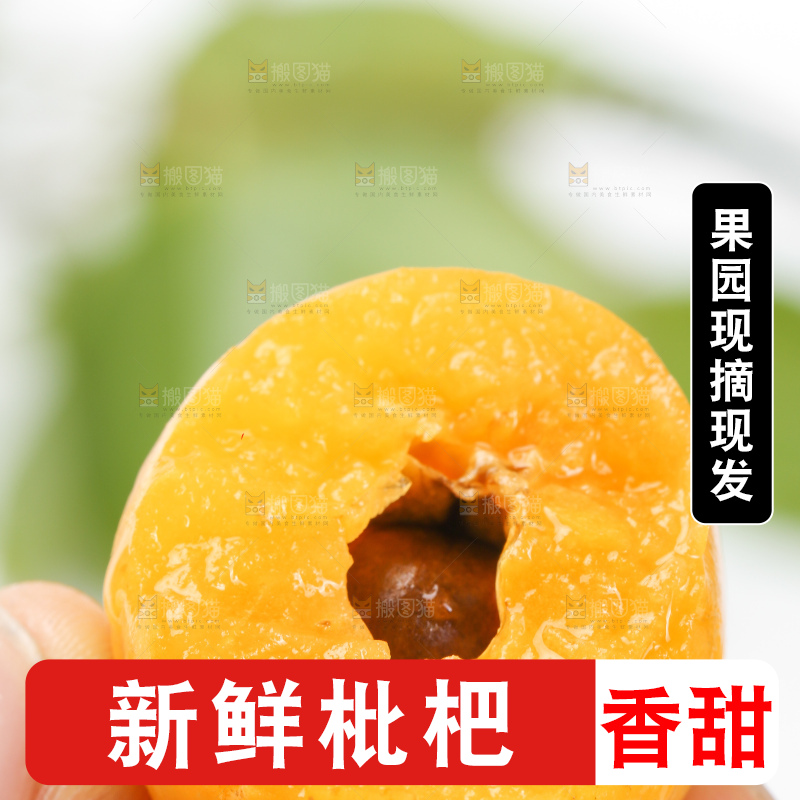 手里拿着新鲜枇杷