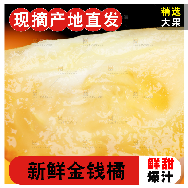 黑底上的小金桔