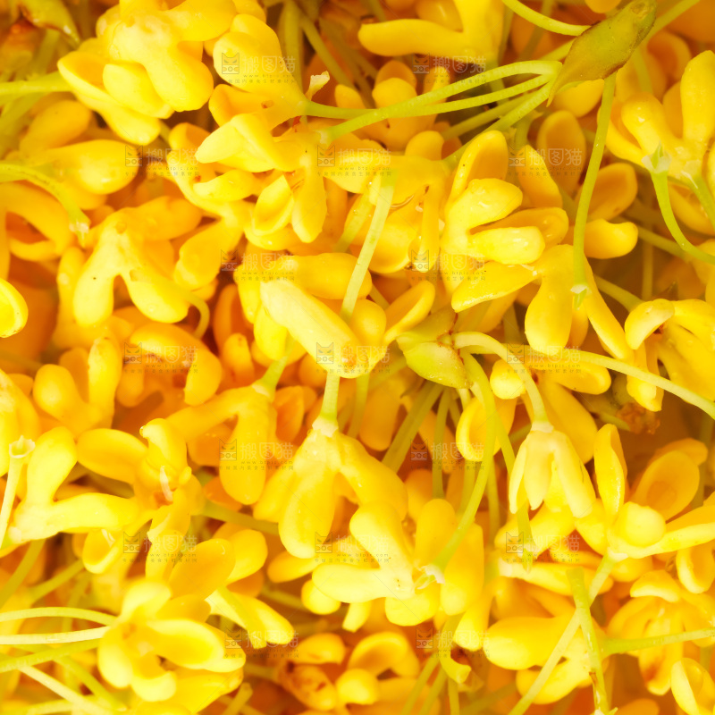 盘里的金桂花