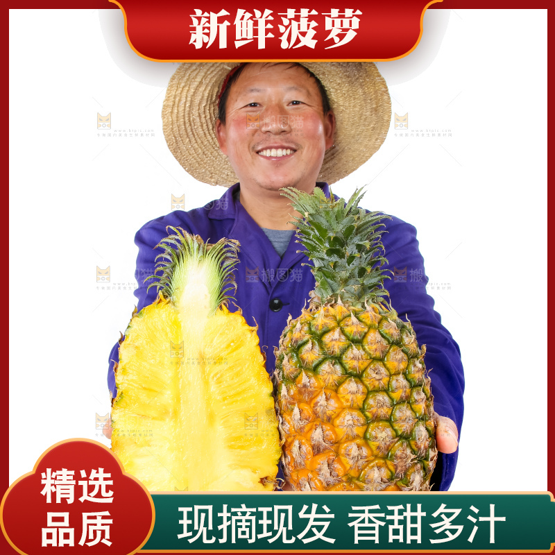 农民手里拿着香水菠萝