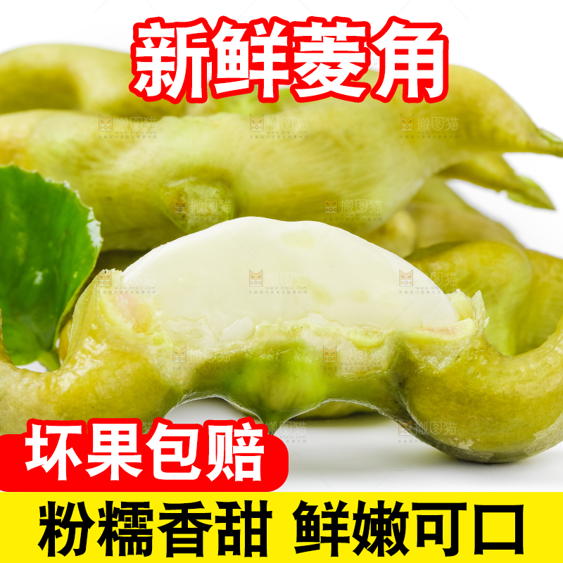浅底上的新鲜菱角
