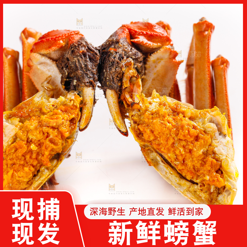 白底上的大闸蟹