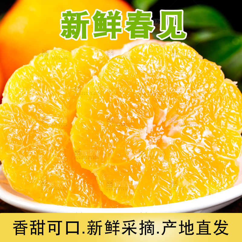 深底上的春见柑桔
